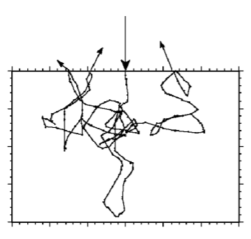 Part 2 (Theory): The Monte Carlo Simulation